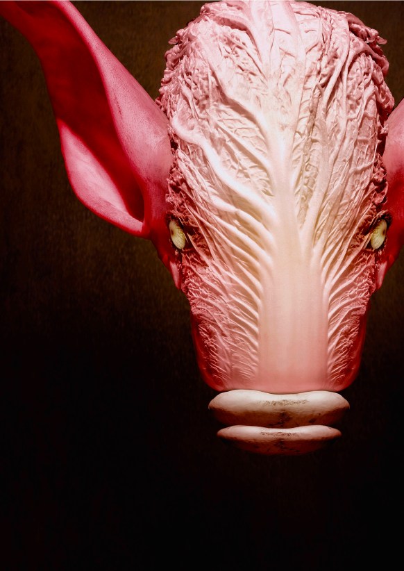 image from Dossier Les Diables